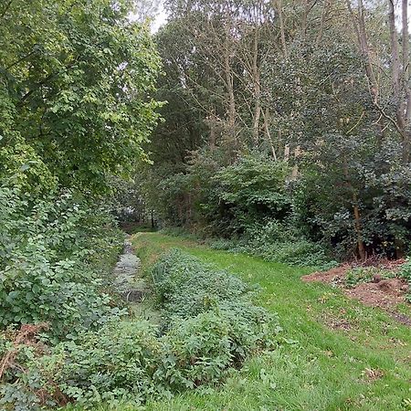 Rumah Senang Wellness Met Hottub En Tuin Ewijk エクステリア 写真
